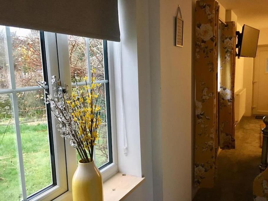 Daffodil House , West Wales Ландоувъри Екстериор снимка