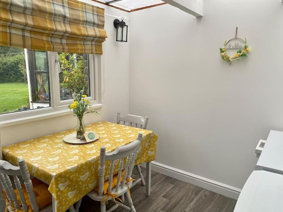 Daffodil House , West Wales Ландоувъри Екстериор снимка